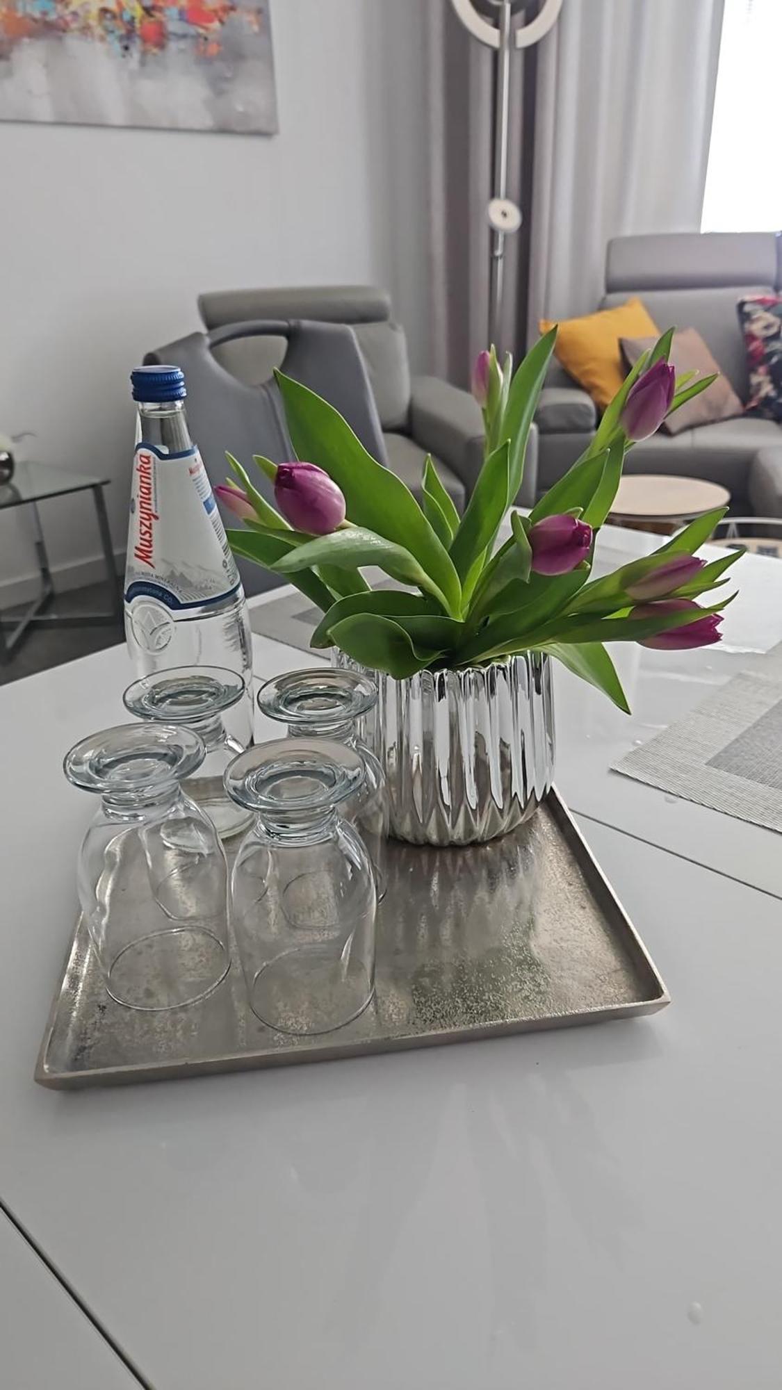 Apartament Delfin プツク エクステリア 写真